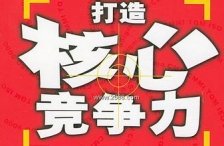 企业的核心竞争力是组织、流程及管控模式等建立起的“能力的体系”